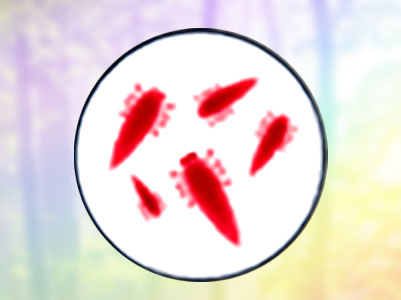 Meaningful Comparisons