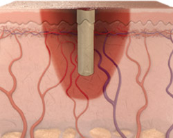 Meaningful Comparisons